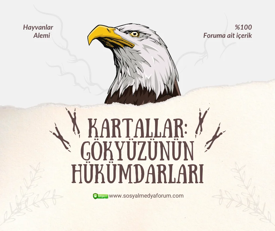 kartallar.webp