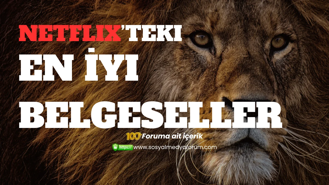 netflixbelgesel.webp